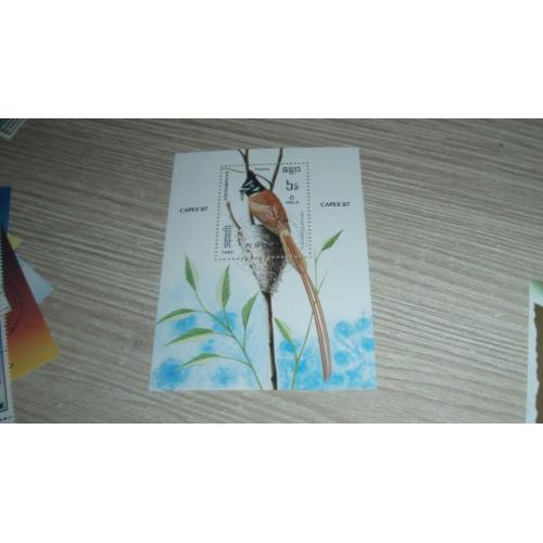 Камбоджа, птицы