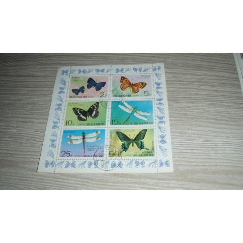 КНДР, бабочки