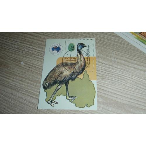 Куба, страус