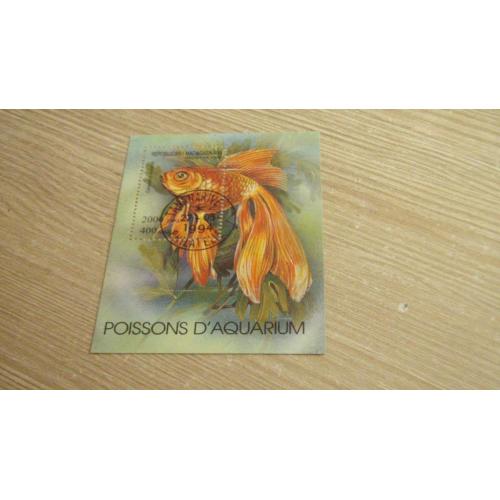 Мадагаскар, рыбы