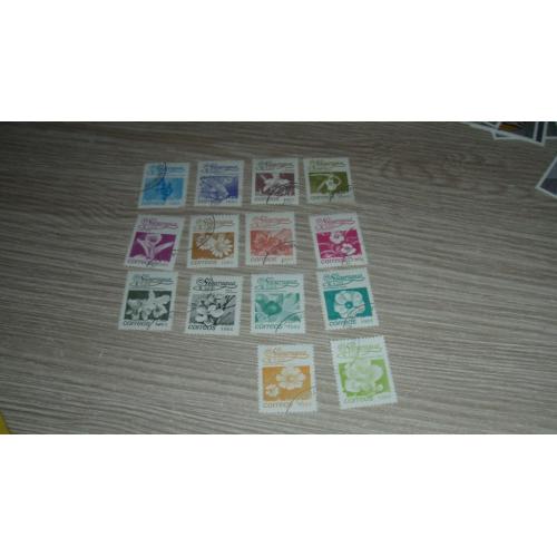 Никарагуа, цветы