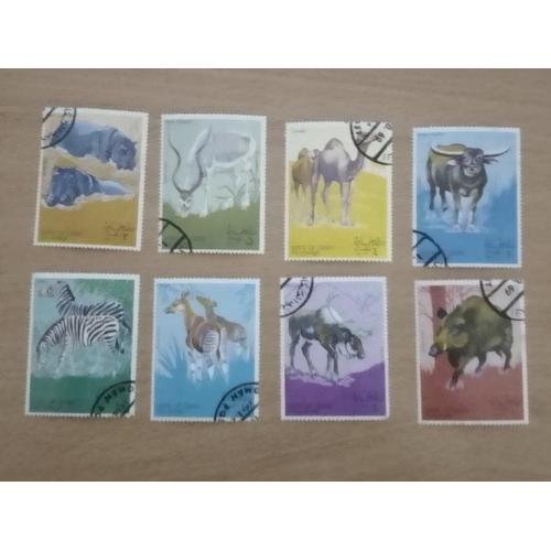 Оман, фауна