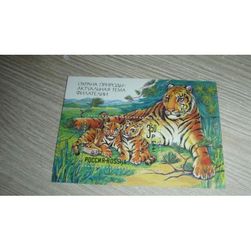 Россия, тигры