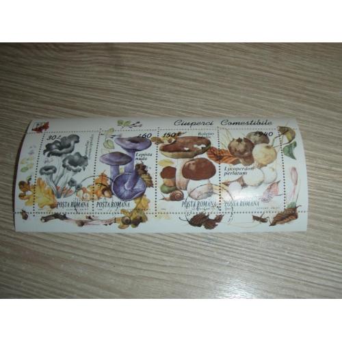 Румыния, грибы