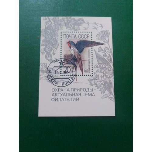 СССР, птицы