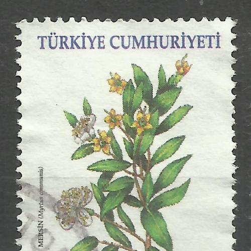 Турция 2001 Растения