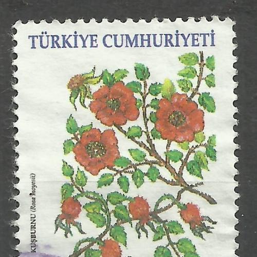 ​Турция 2001  Растения 