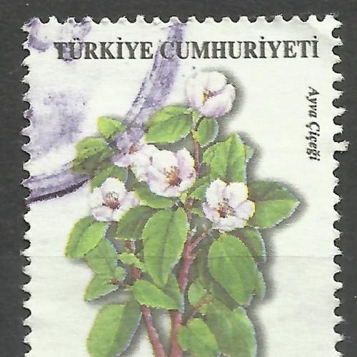 Турция 2003 Растения