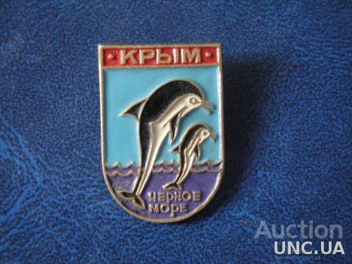 Крым Черное Море Дельфины