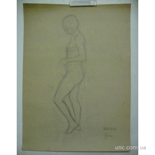 29. Pajorova M. Графика, рисунок. 1930-1932 г.г.