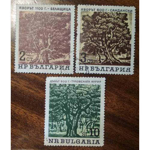 Болгария Деревья 1964