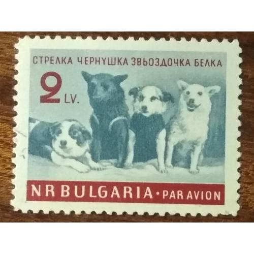 Болгария Советские космические собаки — Стрелка, Чернушка, Звездочка и Белка 1961