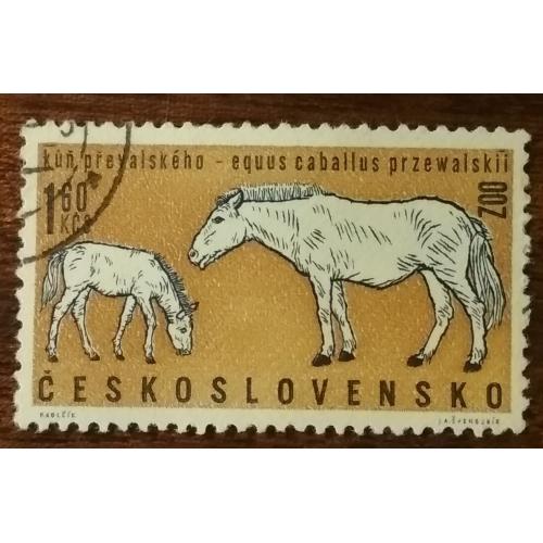 Чехословакия Животные пражских зоопарков 1962