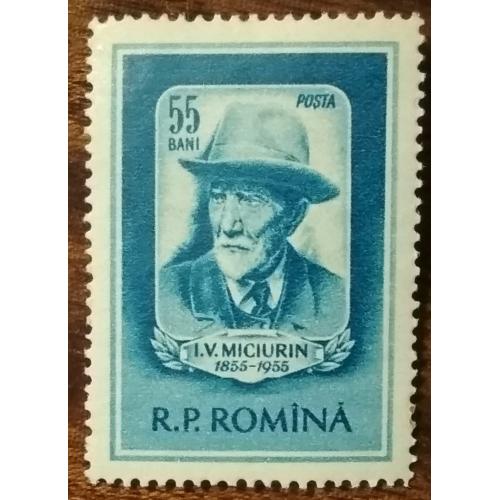 Румыния 100 лет со дня рождения Ивана Васильевича Мичурина (1855–1935)1955