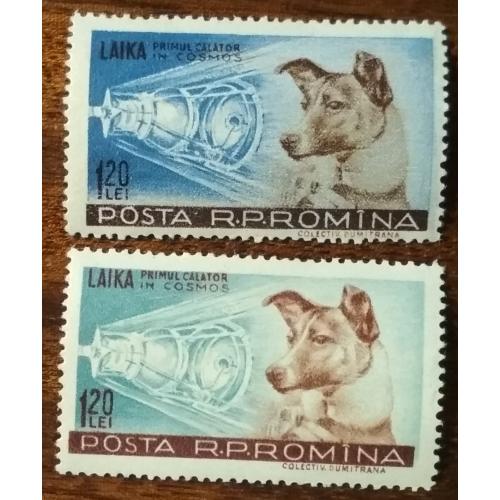 Румыния Собака Лайка 1957