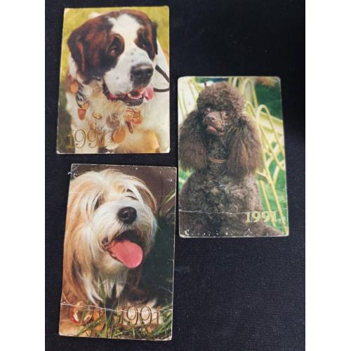 календарики породи собак