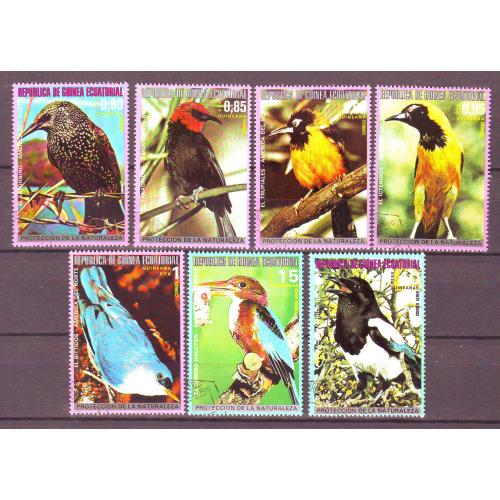 Экваториальнаая  Гвинея. 1976г.  Фауна. Птицы