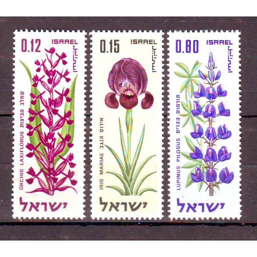 Израиль**. 1970г. Цветы
