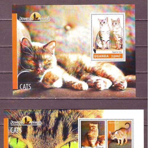 Уганда**.  2014г. Коты