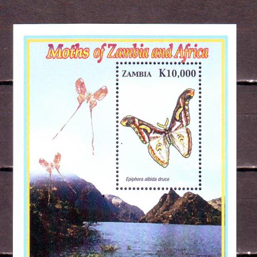 Замбия**. 2005г. Бабочки