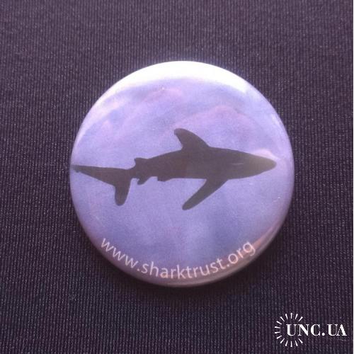 ЗНАЧОК ИНОСТРАННЫЙ АКУЛА ЗАЩИТА ОХРАНА АКУЛ SHARK www.sharktrust.org D=37mm №3