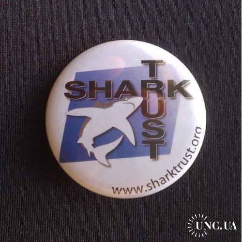 ЗНАЧОК ИНОСТРАННЫЙ АКУЛА ЗАЩИТА ОХРАНА АКУЛ SHARK www.sharktrust.org D=37mm №4