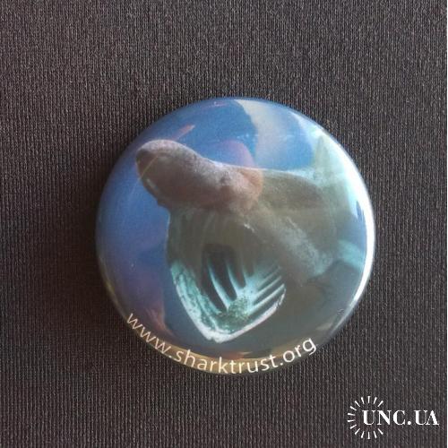 ЗНАЧОК ИНОСТРАННЫЙ АКУЛА ЗАЩИТА ОХРАНА АКУЛ SHARK www.sharktrust.org D=37mm №5