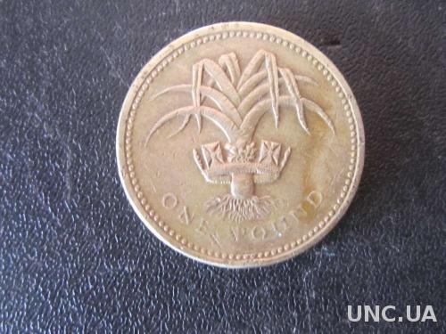 1 фунт Великобритания 1990 лук
