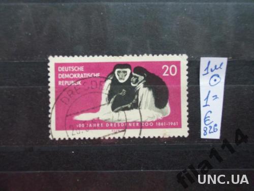 1 марка ГДР гаш. 1961 обезьяна
