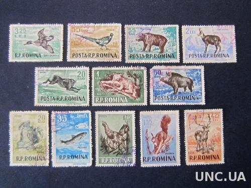 12 марок Румыния 1956 фауна полная михель 85 евро
