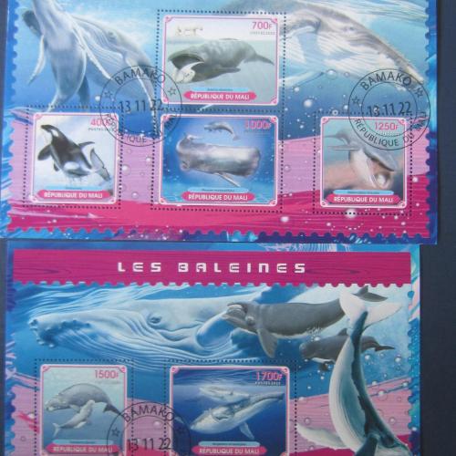 2 блока 6 марок Мали 2022 фауна пингвин кит кашалот касатка дельфин гаш