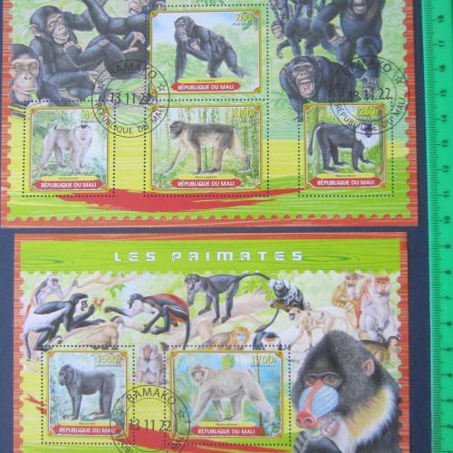 2 блока 6 марок Мали 2022 фауна животные обезьяны гаш