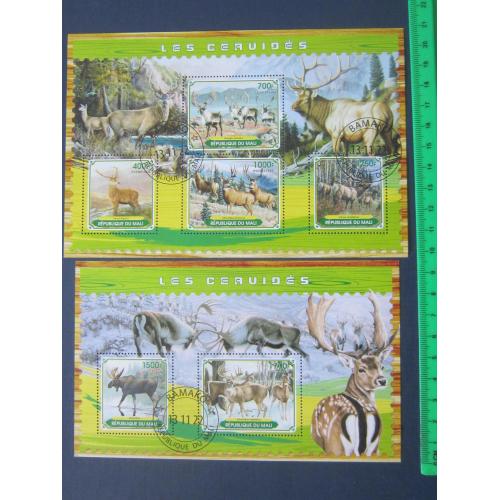 2 блока 6 марок Мали 2022 фауна животные олень лось гаш