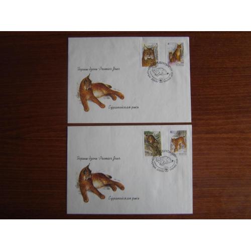 2 КПД конверт первого дня марка спецгашение Беларусь 2000 фауна рысь