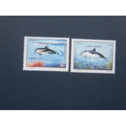 2 марки Алжир 2022 фауна дельфины MNH