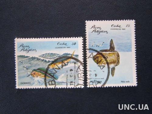 2 марки Куба 1981 рыбы
