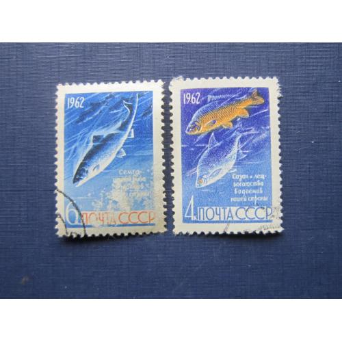 2 марки СССР 1962 фауна рыбы гаш