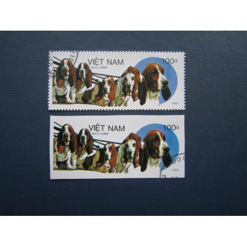 2 марки В'єтнам 1989 фауна собака бассет-хаунд 100 донг із зубцями та без гаш