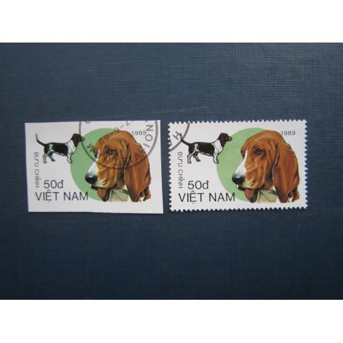 2 марки В'єтнам 1989 фауна собака бассет-хаунд 50 донг із зубцями та без гаш
