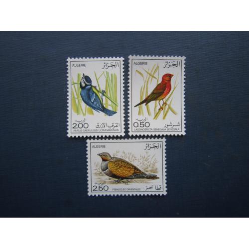 3 марки Алжир 1976 фауна птахи MNH КЦ 9 $