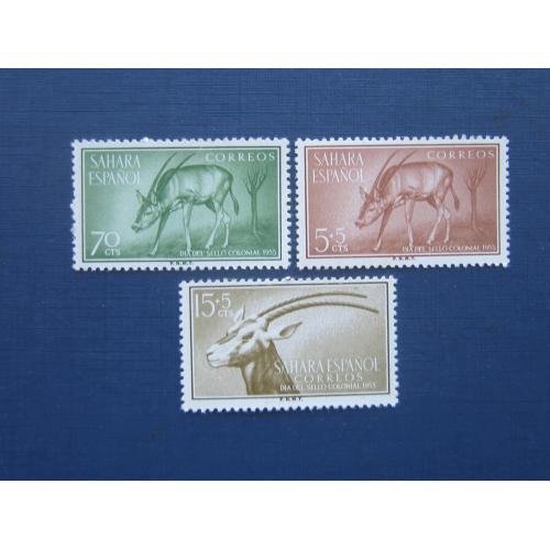3 марки Испанская Сахара 1955 фауна антилопы MNH