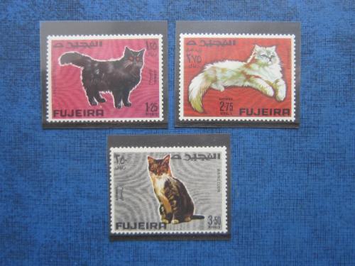 3 марки полная серия ОАЭ Фуджейра 1967 фауна кошки коты MNH