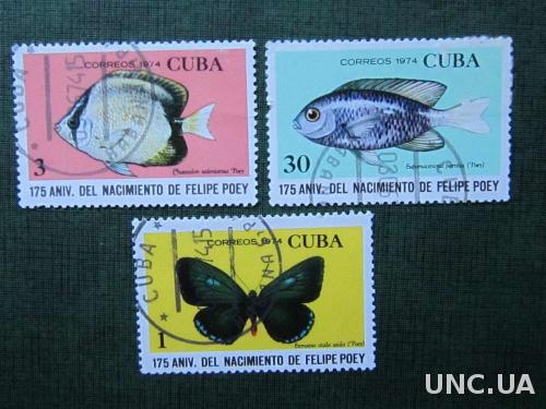 3 марки рыбы бабочка Куба 1974
