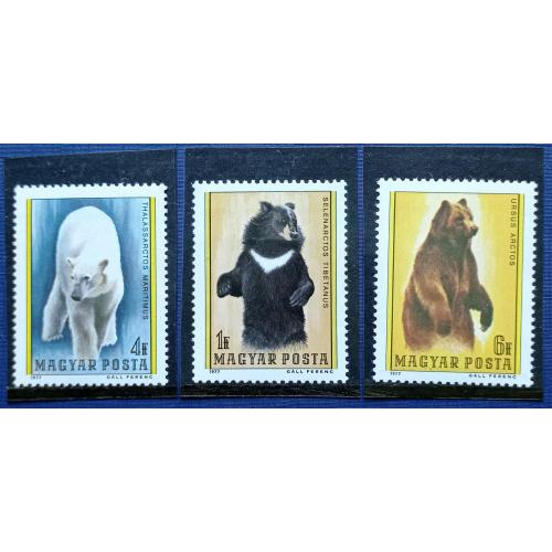 3 марки Венгрия 1977 фауна медведь белый гималайский бурый MNH КЦ 3 $