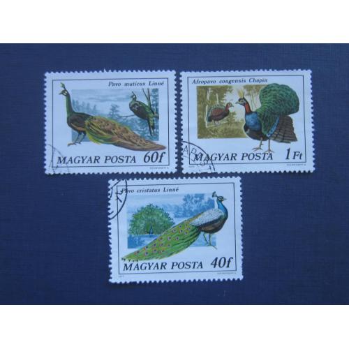 3 марки Венгрия 1977 фауна птицы павлины гаш