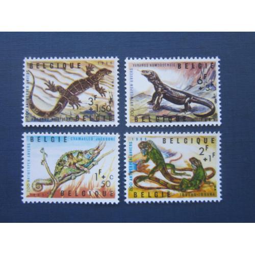 4 марки Бельгия 1965 фауна пресмыкающиеся ящерица хамелеон варан MNH