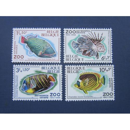 4 марки Бельгия 1968 фауна рыбы тропические MNH