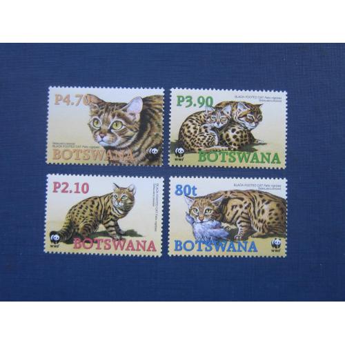 4 марки Ботсвана 2005 фауна дикая черноногая кошка MNH
