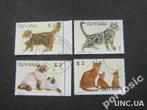 4 марки Гуаяна 1987 кошки