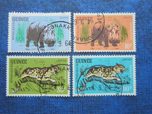 4 марки Гвинея 1964 фауна леопард бегемот гаш